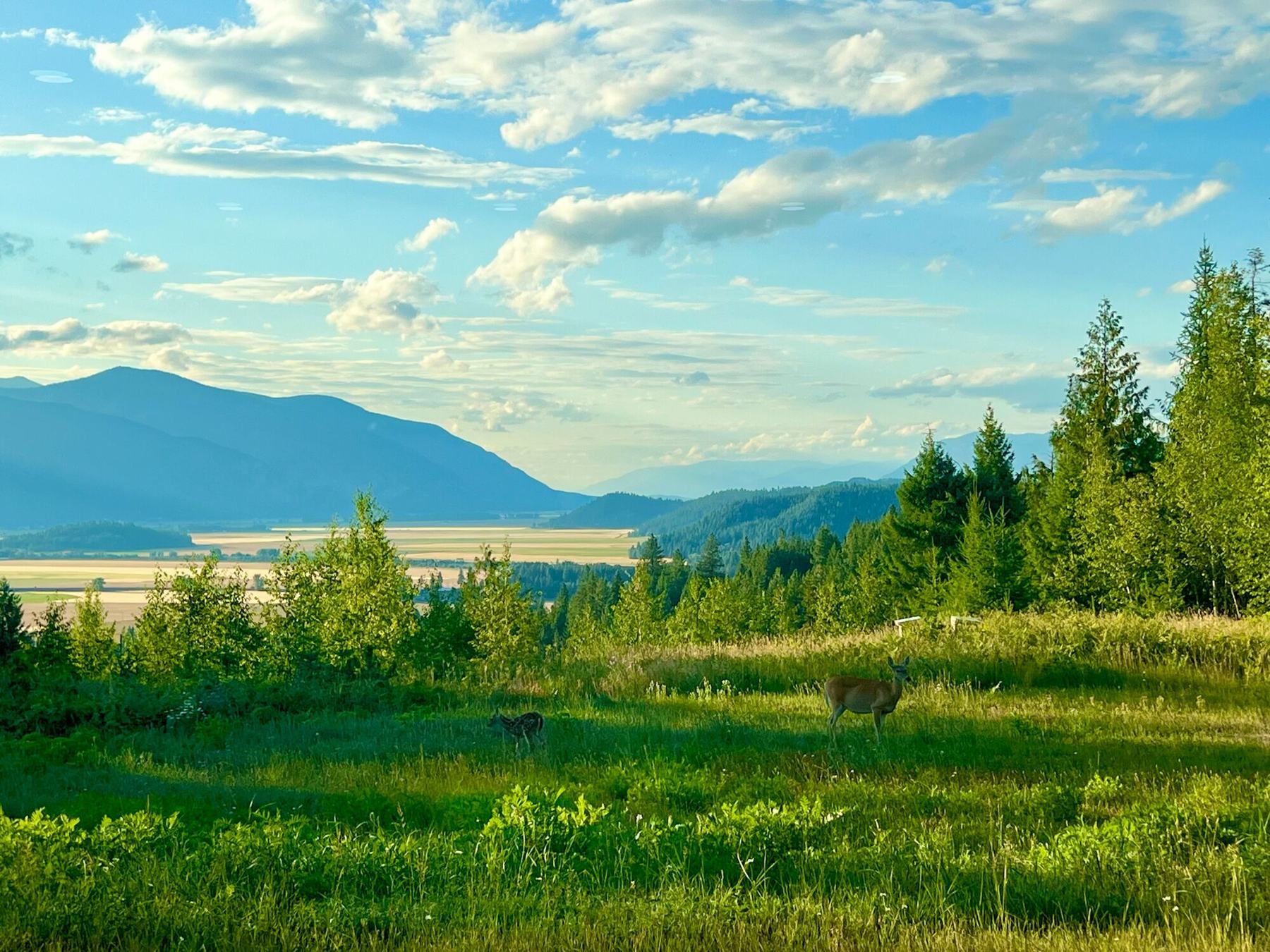 Bonners Ferry, Idaho