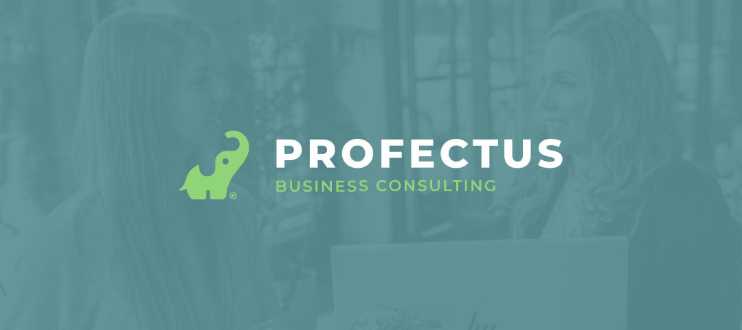 Profectus Business Consulting